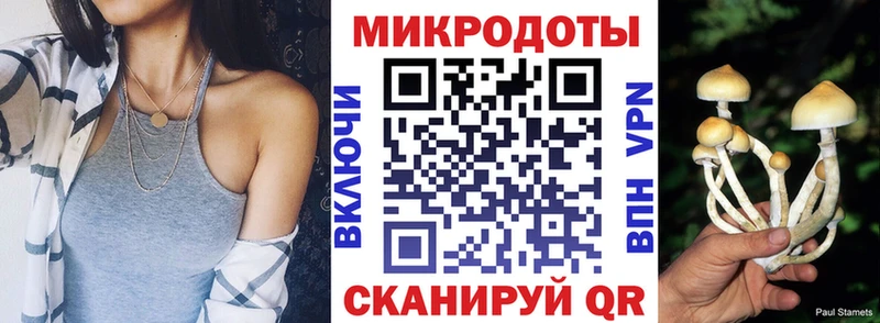 Купить закладки Петрозаводск Галлюциногенные грибы Psilocybe